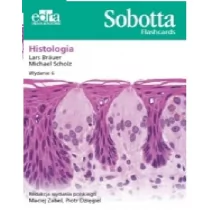 Sobotta Flashcards Histologia L Bräuer M Scholz - Książki medyczne - miniaturka - grafika 1