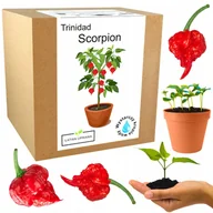 Nasiona i cebule - Zestaw do Uprawy papryka Trinidad Moruga Scorpion - miniaturka - grafika 1