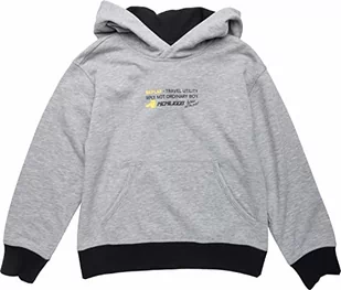 Replay Chłopięca bluza z kapturem, M02 Grey Melange, 14 A, M02 Grey Melange, 14 lat - Bluzy dla chłopców - miniaturka - grafika 1