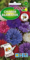 Nasiona i cebule - Chaber karłowy mieszany 1 g POLAN - miniaturka - grafika 1