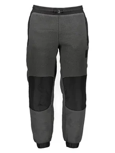 The North Face Spodnie polarowe "Fleeski" w kolorze szaro-czarnym - Spodnie sportowe męskie - miniaturka - grafika 1