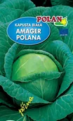 Nasiona i cebule - NASIONA KAPUSTA BIAŁA GŁOWIASTA AMAGER POLANA 2G - miniaturka - grafika 1