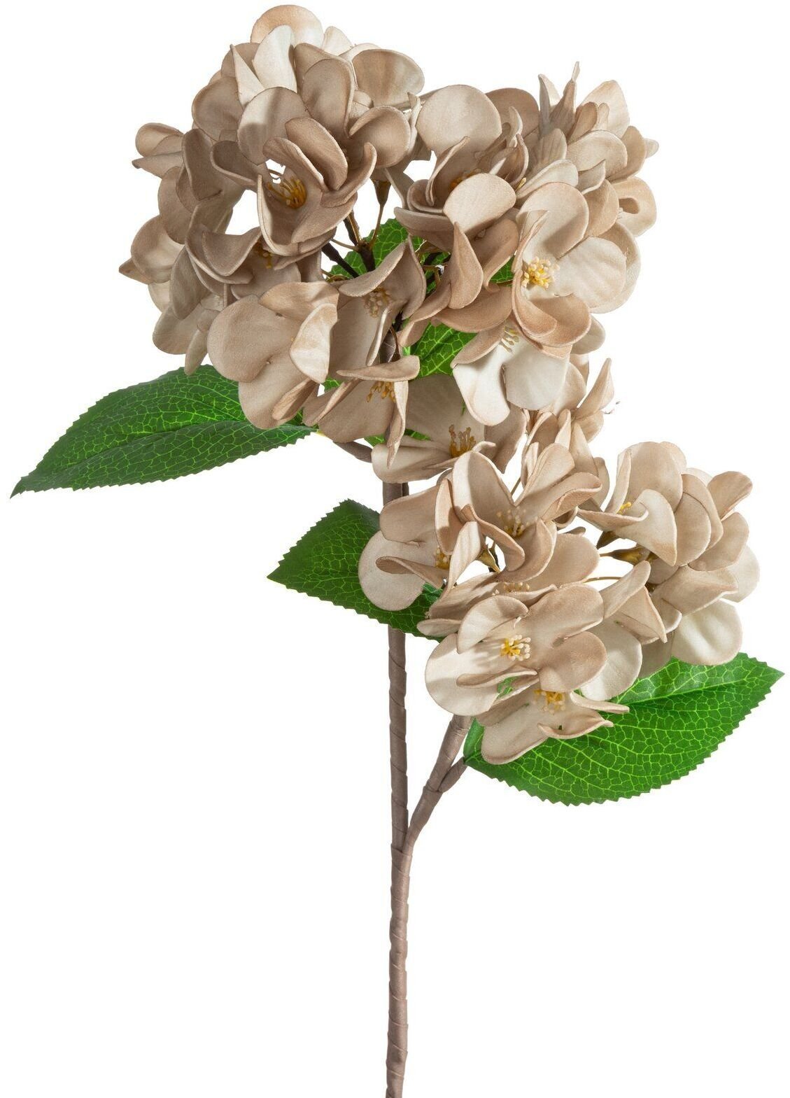 Eurofirany Sztuczny kwiat hortensja ciemnobeżowa 50 cm komplet 6 szt