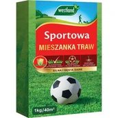Trawy i trawniki - Mieszanka nasion traw SPORTOWA 1 kg/40 m2 - miniaturka - grafika 1