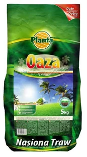 Nasiona traw OAZA Planta 5kg - Nasiona i cebule - miniaturka - grafika 1