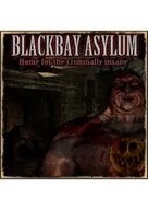 Gry PC Cyfrowe - Blackbay Asylum PC - miniaturka - grafika 1