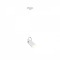 Lampy sufitowe - Paulmann Lampa wisząca Neordic Lavea lampa wisząca max 1x15W E27 Weiß 230V Metall PL79767 - miniaturka - grafika 1