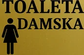 Tablice i flipcharty - Tabliczka aluminiowa na drzwi TOALETA DAMSKA 15x10 Nierdzewna - miniaturka - grafika 1