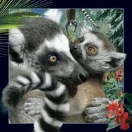 Gadżety USB - Worth-Keeping Gadżet Worth-Keeping Magnes na lodówkę 3D Lemur WIKR-1000418 WIKR-1000418 - miniaturka - grafika 1