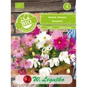 Nasiona i cebule - Onętek Kosmos Sensation mieszanka nasiona 1g W. Legutko - miniaturka - grafika 1