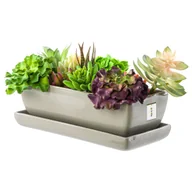 Donice - Kaktusiarka doniczka Ceramika szary eco 29cm podstawka sukulenty kaktusy - miniaturka - grafika 1