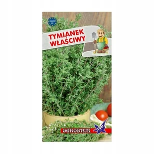 Tymianek właściwy 0,3g / O / - Nasiona i cebule - miniaturka - grafika 1