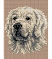 Pasmanteria - Ariadna, kanwa z nadrukiem Golden Retriever 5049 - miniaturka - grafika 1