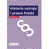 Prawo - Historia Ustroju I Prawa Polski W Pigułce Praca zbiorowa - miniaturka - grafika 1