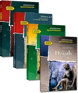 Pakiet lektury ze szkoły podstawowej, które trzeba znać na maturze Balladyna, Pan Tadeusz, , Dziady. Część II, Zemsta - podręcznik - Lektury szkoła podstawowa - miniaturka - grafika 1