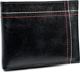 Always Wild Portfel męski skórzany Always Wild skóra na karty - Portfele - miniaturka - grafika 1