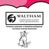 Przysmaki dla kotów - DREAMIES 6x60g - przysmak dla kota z wyśmienitą wołowiną - miniaturka - grafika 1