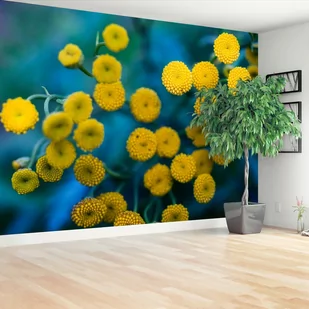 Fototapeta Żółte kwiaty - Fototapety - miniaturka - grafika 1