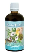 Suplementy naturalne - Inwent herbs Gastro Herbs 100ml Zgaga refluks niestrawność - miniaturka - grafika 1