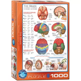 Puzzle 1000 The Brain 6000-0256 - Eurographics - Puzzle - miniaturka - grafika 1