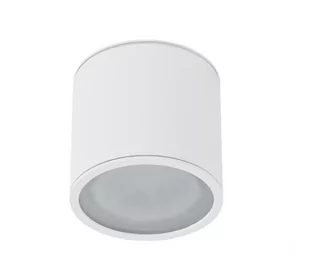 AZZARDO ALIX AZ4055 downlight natynkowy 1x50W/GU10 IP65 AZ4055 - Lampy ogrodowe - miniaturka - grafika 2
