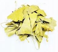 Przyprawy i zioła sypkie - MIŁORZĄB DWUKLAPOWY LIŚĆ GINKGO BILOBA 200 G 100% - miniaturka - grafika 1