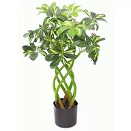 Sztuczne drzewka - Leaf 70 cm łodyga nowoczesny sztuczny krzew do roślin Arboricola w czarnym doniczce, bonsai Twist - miniaturka - grafika 1