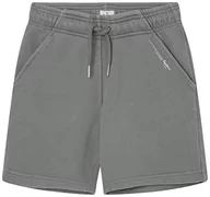 Spodenki damskie - Pepe Jeans Davide Short szorty Bermudy dla dzieci i młodzieży, Zielony (Casting), 8 anni - miniaturka - grafika 1