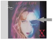 Pudełka i akcesoria na płyty CD - Analogis Analogis 6090 Koszulki zewnętrzne na okładki płyt winylowych 6090 - miniaturka - grafika 1