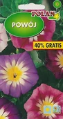 Nasiona i cebule - Powój trójbarwny mieszany 5+2 g POLAN - miniaturka - grafika 1
