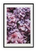 Plakaty - Plakat B1 70x100 cm Kwiaty Wiosna Natura WZORY - miniaturka - grafika 1