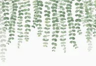 Fototapety - Zielone gałązki bluszczu - fototapeta 366x254 cm - miniaturka - grafika 1
