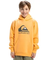 Bluzy dla chłopców - Quiksilver Chłopięca bluza z kapturem z dużym logo, młodzieżowy sweter (1 szt.) - miniaturka - grafika 1