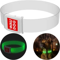 Obroże dla psów - Obroża dla psa z podświetleniem WAUDOG LED, klamra magnetyczna, rozmiar M, 45 cm, 25 mm - miniaturka - grafika 1