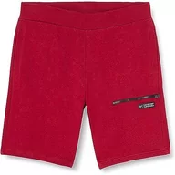 Spodenki męskie - 4F Spodenki męskie, Dark Red, XXL - miniaturka - grafika 1