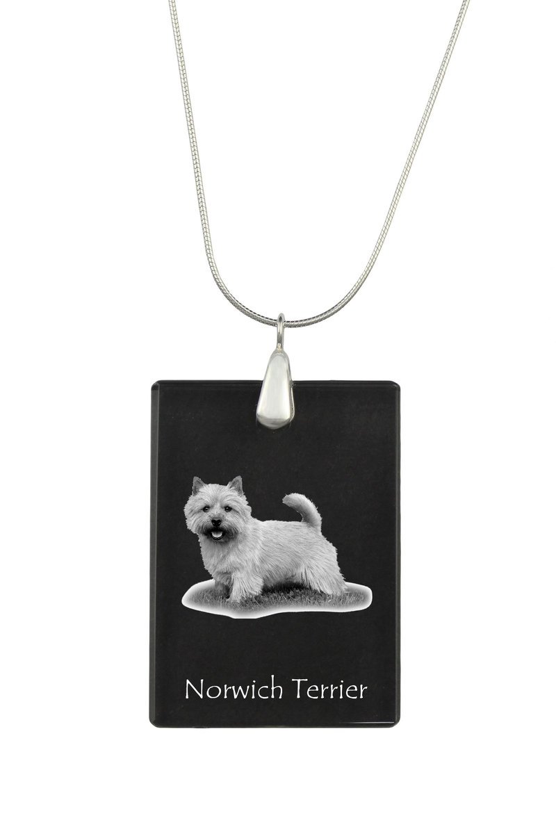 Norwich Terrier - kryształowa zawieszka z psem, srebrny naszyjnik ze zdjęciem, personalizowany wisiorek marki Art-Dog