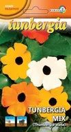 Nasiona i cebule - Tunbergia mix 0,5g / L / - miniaturka - grafika 1