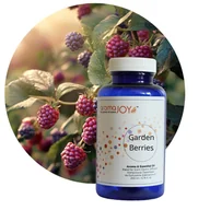 Zapachy do domu - GARDEN BERRIES - Kompozycja Zapachowa 200 ml - miniaturka - grafika 1