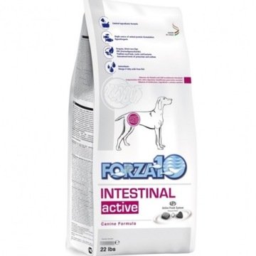 Forza10 Intestinal Active 4 kg