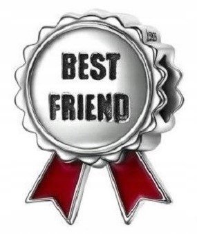 Charms Srebrny Best Friends Przyjaźń Przyjaciółka bff Siostra SREBRO 925