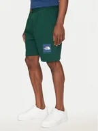 Spodenki męskie - The North Face Szorty sportowe Nse Box NF0A8C1J Zielony Regular Fit - miniaturka - grafika 1