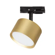 Lampy sufitowe - Track Cyklop reflektor spot 1xGX53 do szyny czarny/złoty ML1199 - miniaturka - grafika 1