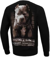 Bluzy sportowe męskie - Pit Bull Bluza Bez Kaptura Mugshot Crewneck Black - miniaturka - grafika 1