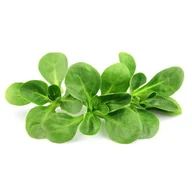 Szybkie dania obiadowe - Sałata roszponka 125g - miniaturka - grafika 1