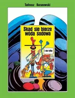 Komiksy dla młodzieży - Skąd się bierze woda sodowa - miniaturka - grafika 1