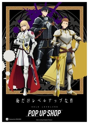 Plakat Solo Leveling A1+ (610mm x custom) Anime Na honjaman level up