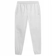 Spodnie męskie - 4F Spodnie Męskie Joggery Bawełniane Ttrom154 Xxl - miniaturka - grafika 1