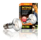 Akcesoria do terrarium - EXO TERRA INTENSE BASKING SPOT żarówka 75W - miniaturka - grafika 1