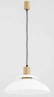 Lampy sufitowe - Alfa Lampa wisząca nowoczesna 1pł TROPIC 60356 ALF60356 - miniaturka - grafika 1