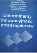 Biznes - Determinanty innowacyjności przedsiębiorstw - miniaturka - grafika 1